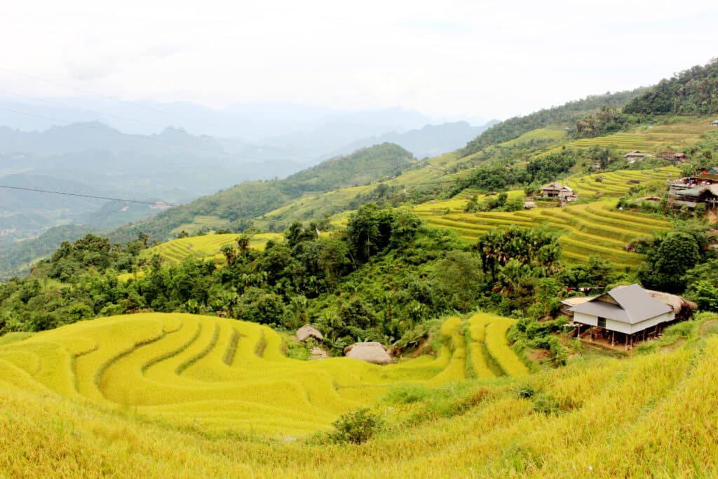 When Should You Go To Northern Mountainous Region Of North Vietnam?