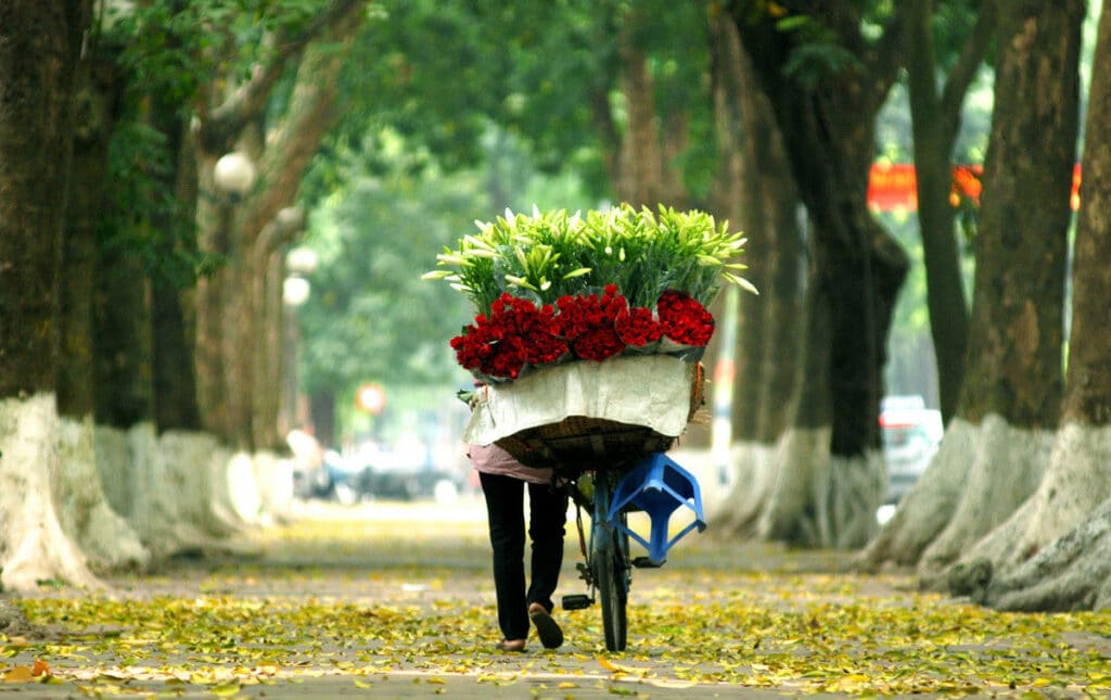 autumn in hanoi